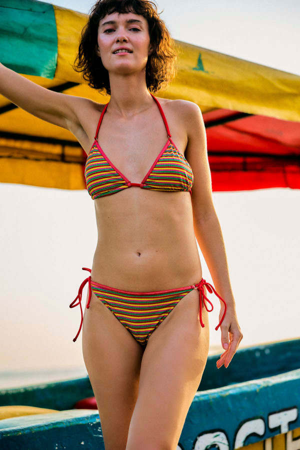Laura Briefs-3